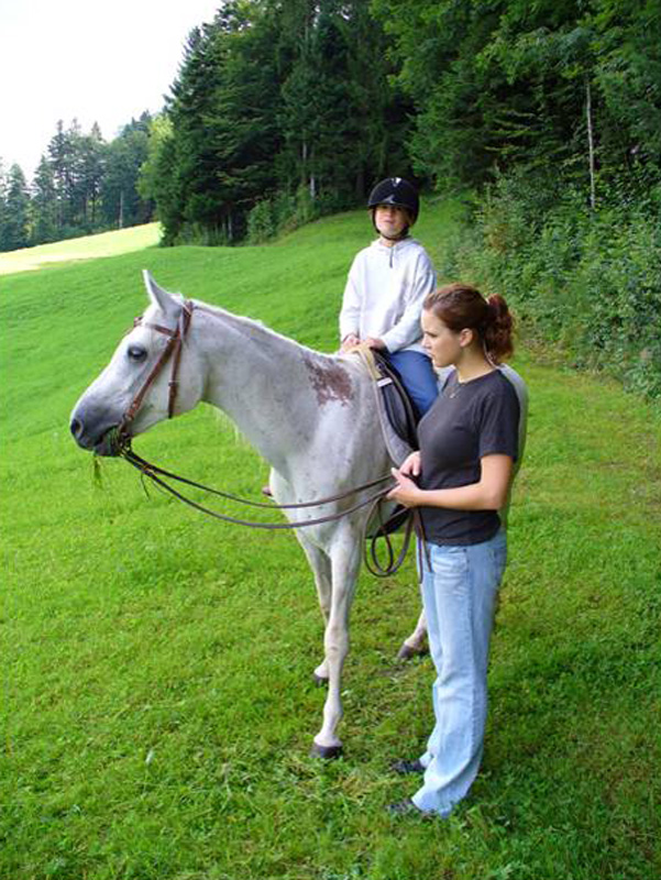 reiten_1.jpg