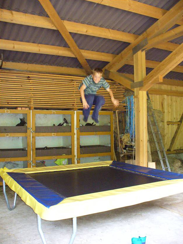 trampolin1.jpg