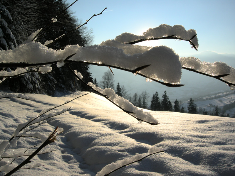 Bildergalerie Winter